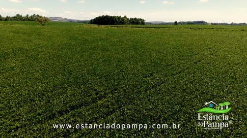 INICIO 3.00_02_17_25.Quadro022_608da10025ed3f0f7df44ceb43101abcb9d0a484.jpg